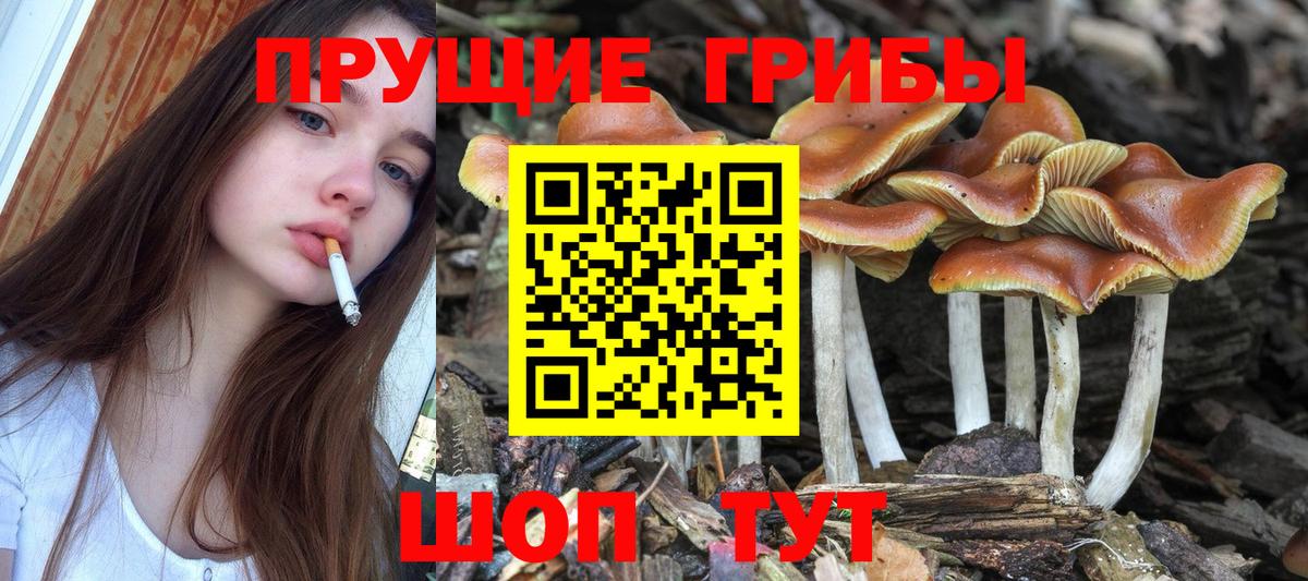 Псилоцибиновые грибы мицелий  Галлюциногенные грибы мухоморы  Волгодонск  Вход с VPN 